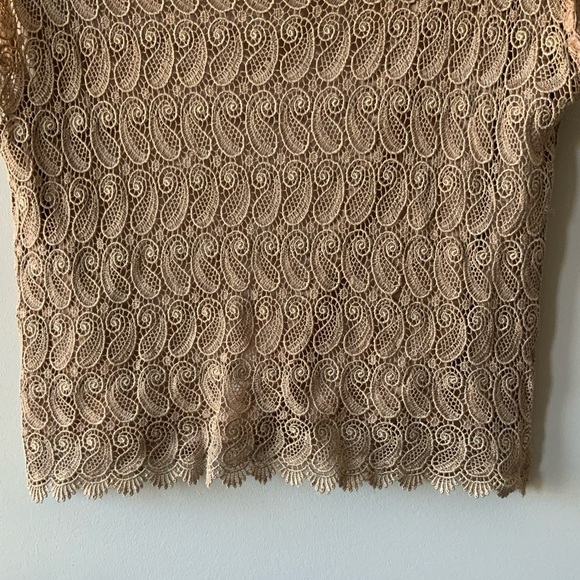 Short Sleeve Lace Top - Picture 4 of 13